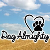 Dog Almighty | Professional Dog Walker